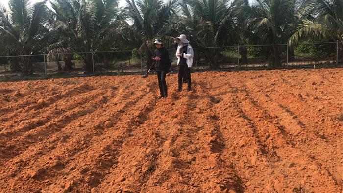 光谱测量.jpg 光谱测量.jpg