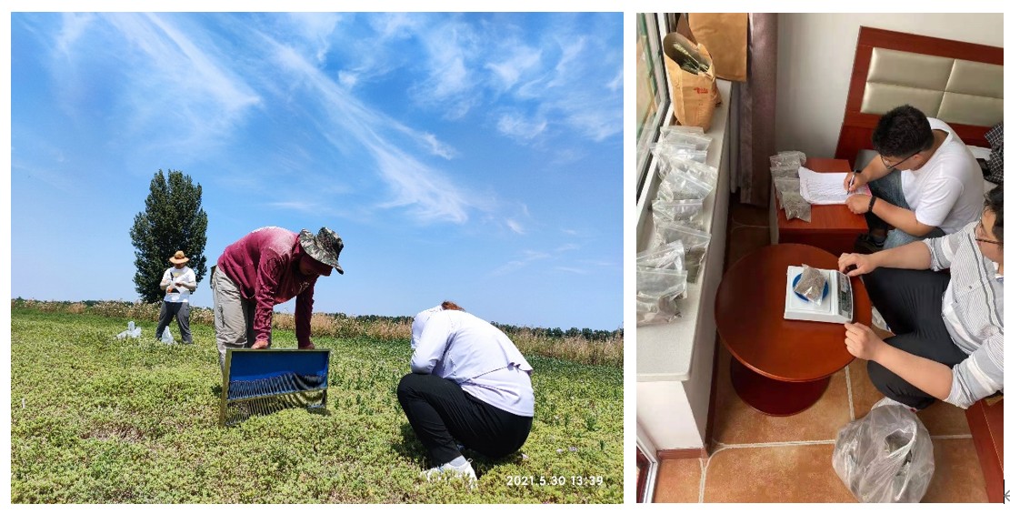 华北14.jpg 华北14.jpg