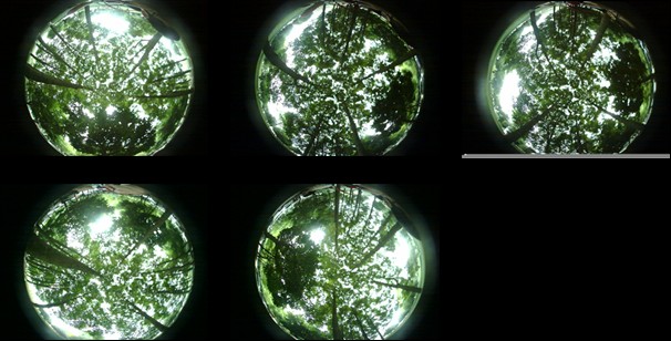 “便携式植被图像信息采集系统”4.jpg “便携式植被图像信息采集系统”4.jpg