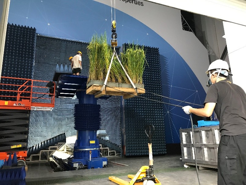 陆地目标微波2.jpg 陆地目标微波2.jpg