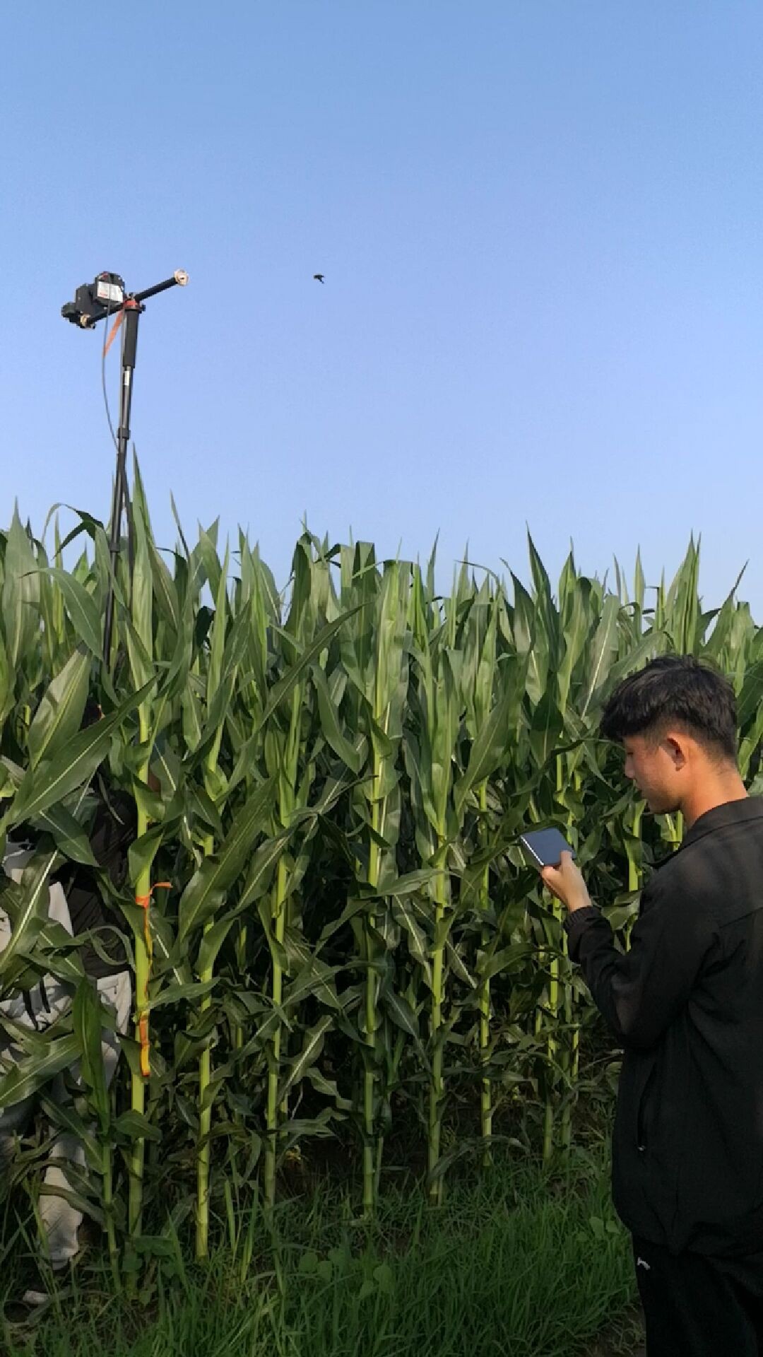 东北综合实验场.jpg 东北综合实验场.jpg