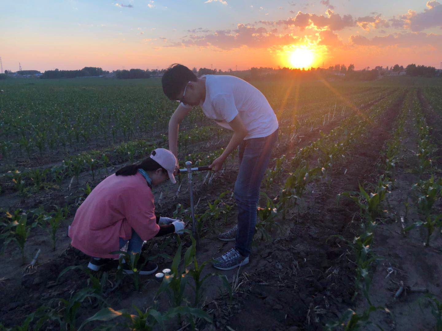 东北综合实验场2.jpg 东北综合实验场2.jpg