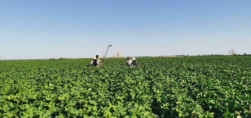 W020210809518064932084.jpg W020210809518064932084.jpg