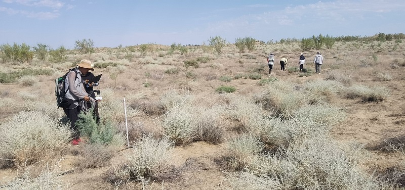 西北综合实验场联合实验2.jpg 西北综合实验场联合实验2.jpg