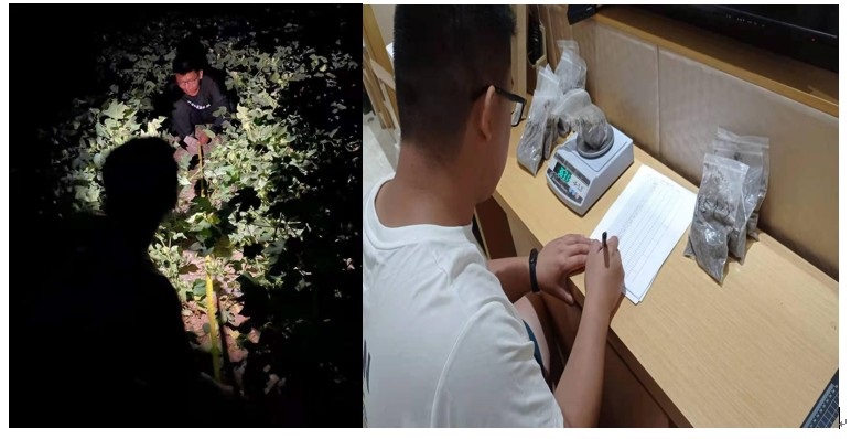 西北综合实验场联合实验3.jpg 西北综合实验场联合实验3.jpg