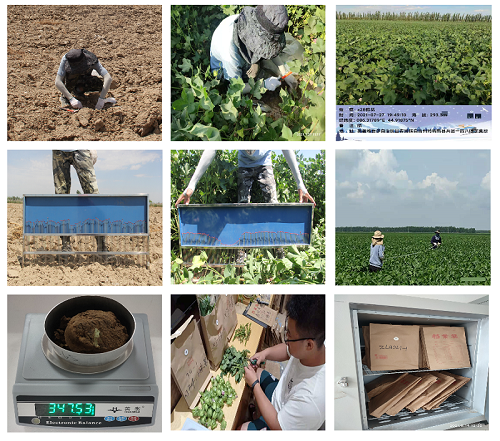 333333.png 333333.png